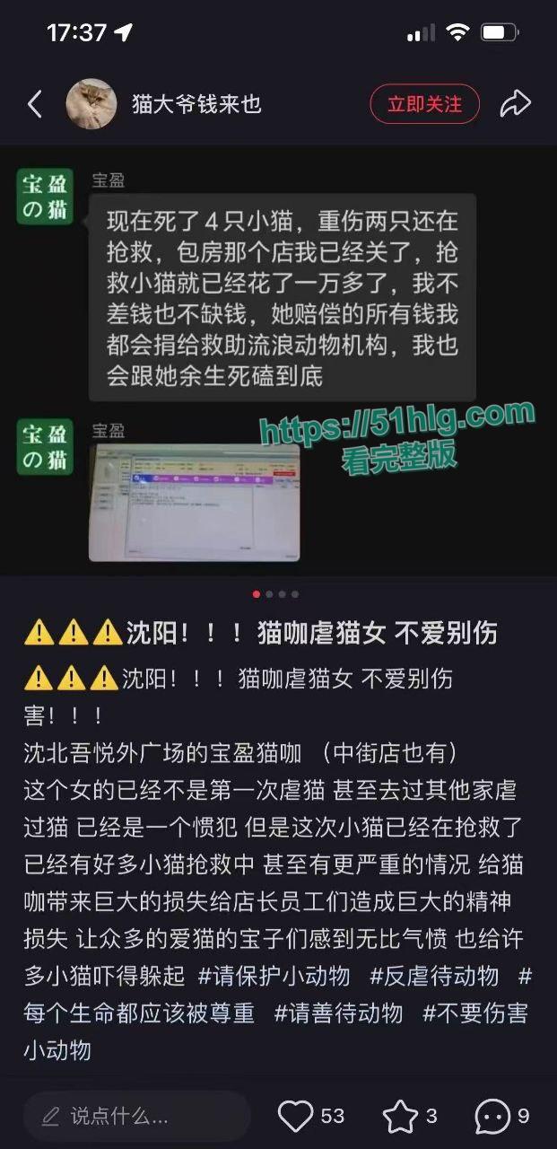 【沈阳】【张欣微】虐猫致死事件引发热议 骚女疯狂约炮感染性病被曝 到猫咖店找猫咪发泄  不雅视频全网疯传-8