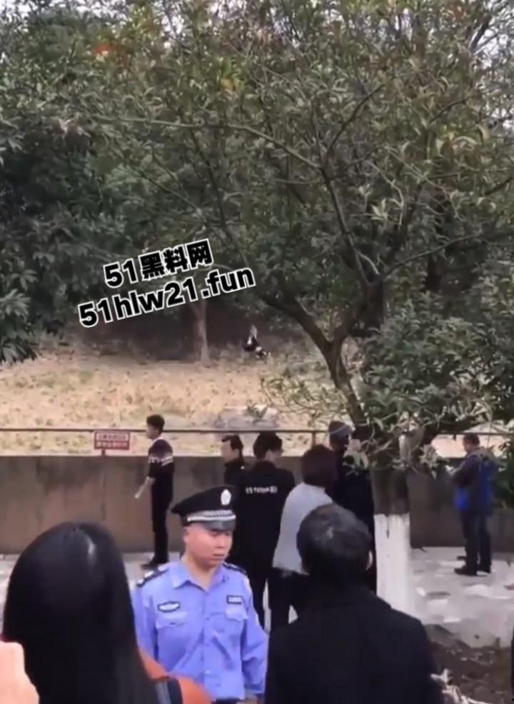 浙江宁波雅戈尔动物园,男子翻越围墙遭老虎攻击致死,老虎遭警方枪杀,园方称死者并没有买票。-5