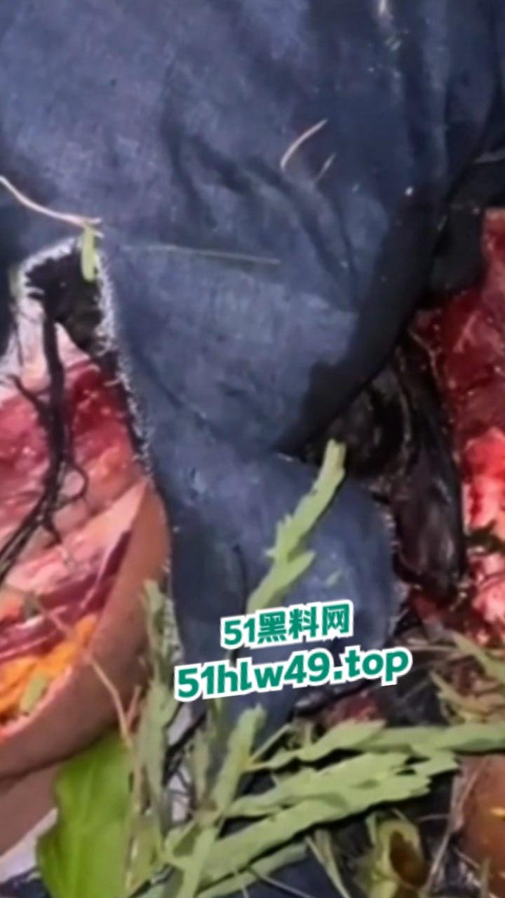 血腥恐怖,非洲南部车祸乡间公路步行,司机未看清路况当场将撞飞路人,手脚全断死相极其残忍。-3