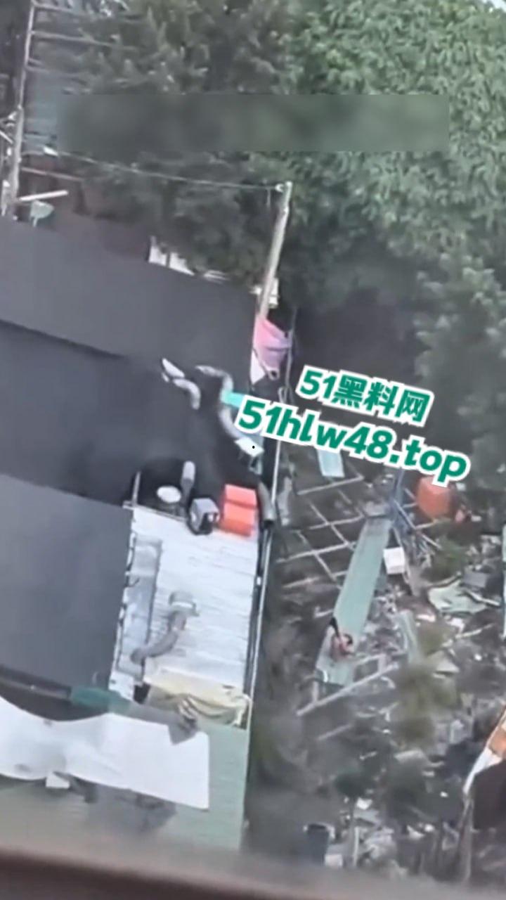 湾湾长腿大妈露天自慰被偷拍,大妈身材年轻时也绝对是大美女,想不到老了竟然这么饥渴。-4