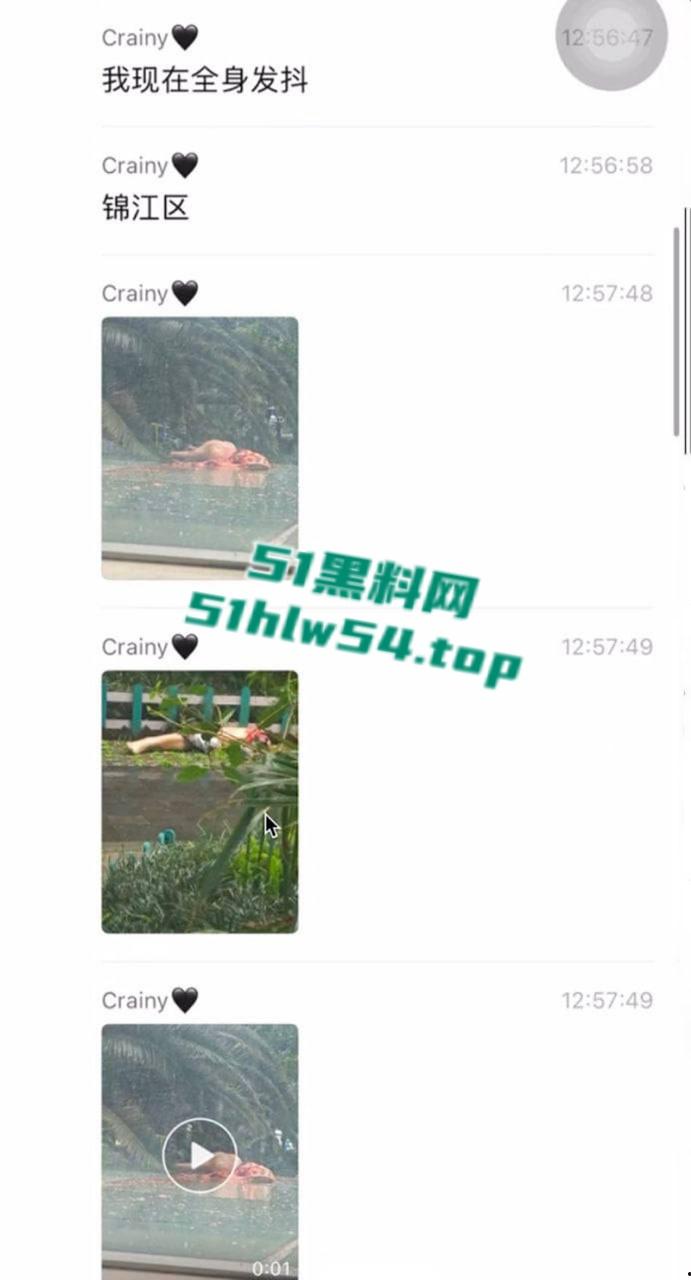 抖音热搜成都大慈寺路瓜,男子51楼坠亡碰撞到平台导致肢体离断,网传竟是杀人抛尸!-4