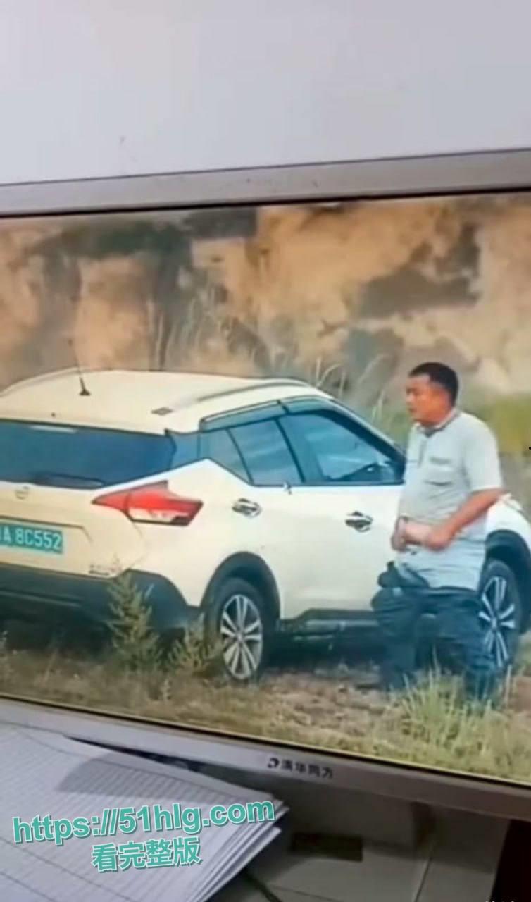 【广州】8C552车牌车震门火爆全网 女主人妻【何琳】身份开盒 细腰巨乳极品身材 酒店翘臀被后入浪叫不止-3