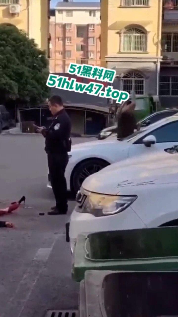 景德镇梨树园北苑老板娘欠钱被砍死视频,女老板欠钱不给还侮辱老实人遭对方乱刀砍死。-2