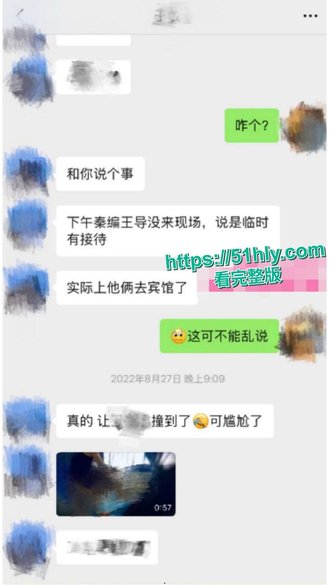 古二录音门再曝猛料 王家卫 混乱私生活引发轰动 对金靖开黄腔 借讨论剧本为由 与秦雯深夜偷欢!-13