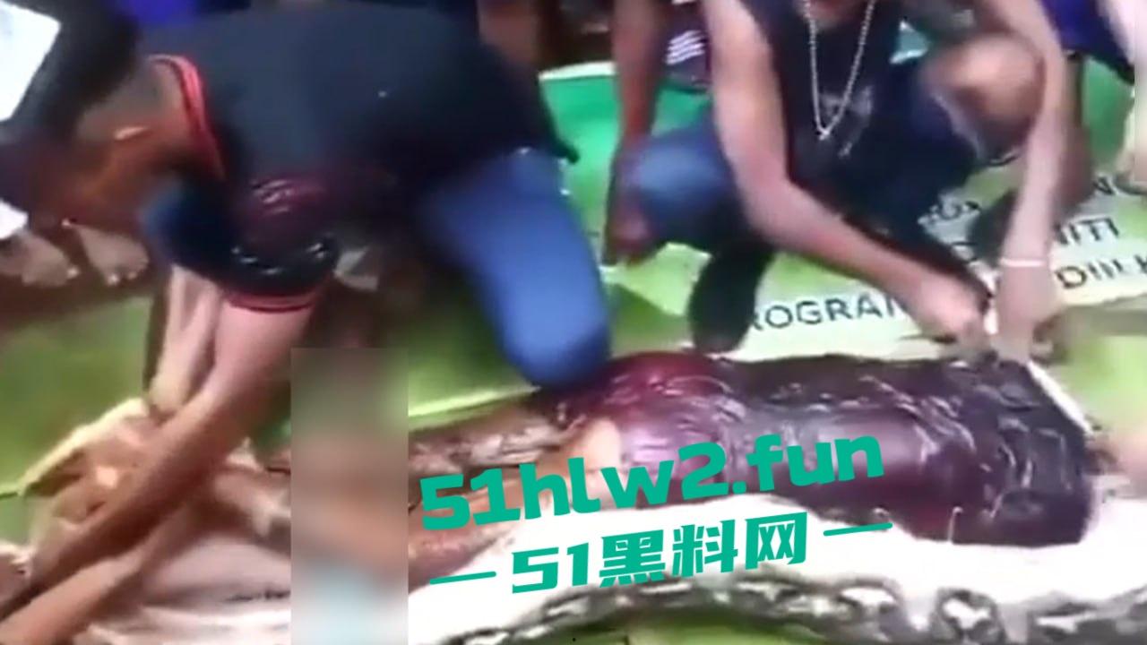 印尼猎奇事件,一妇女在回家途中遭蟒蛇袭击,将其缠绕致死后将妇女吞入腹中被村民发现将蟒蛇打死。-1