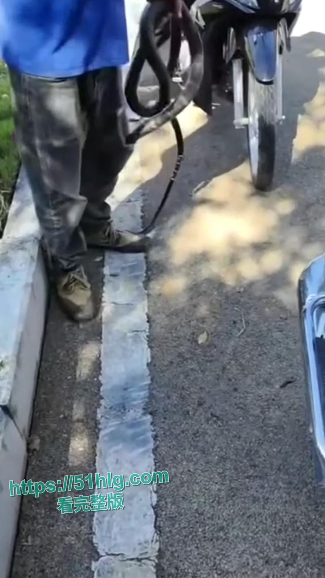 震惊!【贵州】男子惨遭眼镜王蛇夺命, 错把眼镜王蛇当乌梢蛇肆意玩耍,荒唐行为令人唏嘘不已-5