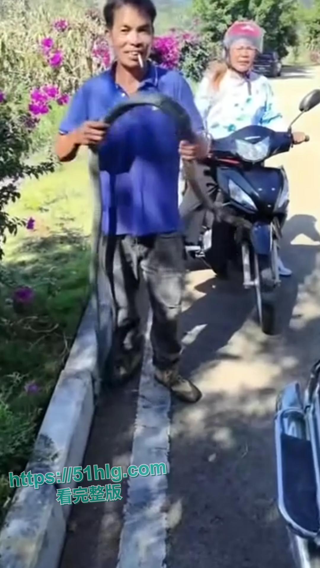 震惊!【贵州】男子惨遭眼镜王蛇夺命, 错把眼镜王蛇当乌梢蛇肆意玩耍,荒唐行为令人唏嘘不已-6