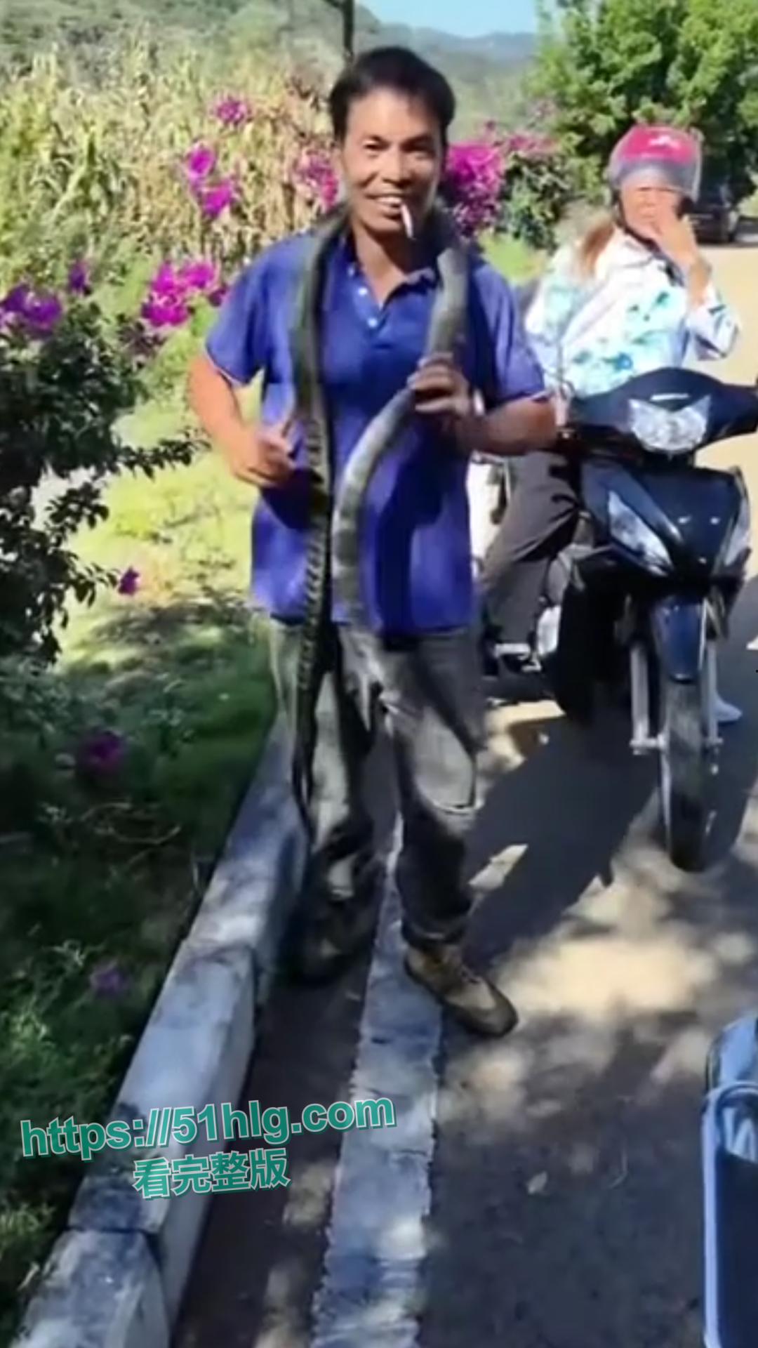 震惊!【贵州】男子惨遭眼镜王蛇夺命, 错把眼镜王蛇当乌梢蛇肆意玩耍,荒唐行为令人唏嘘不已-7