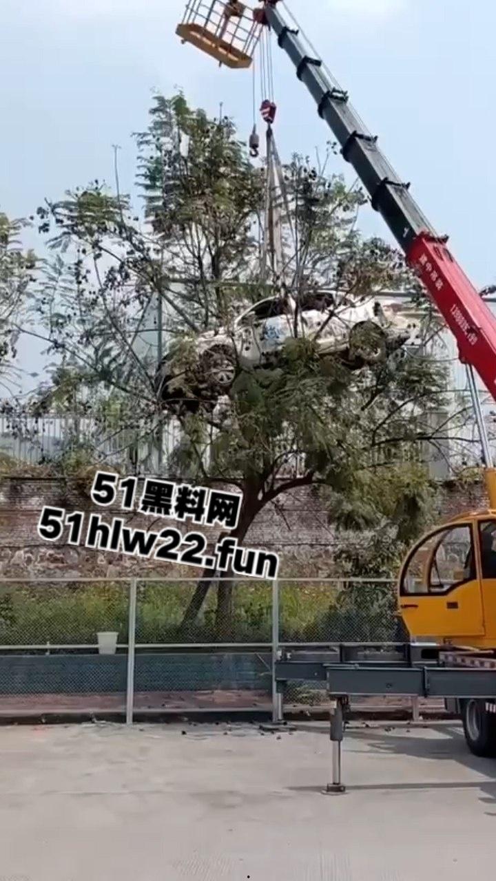 小刀拉屁股开了眼了,宜宾长宁驾校一教练教女学员开车一脚开飞直接上树,这车技也是没谁了!-3