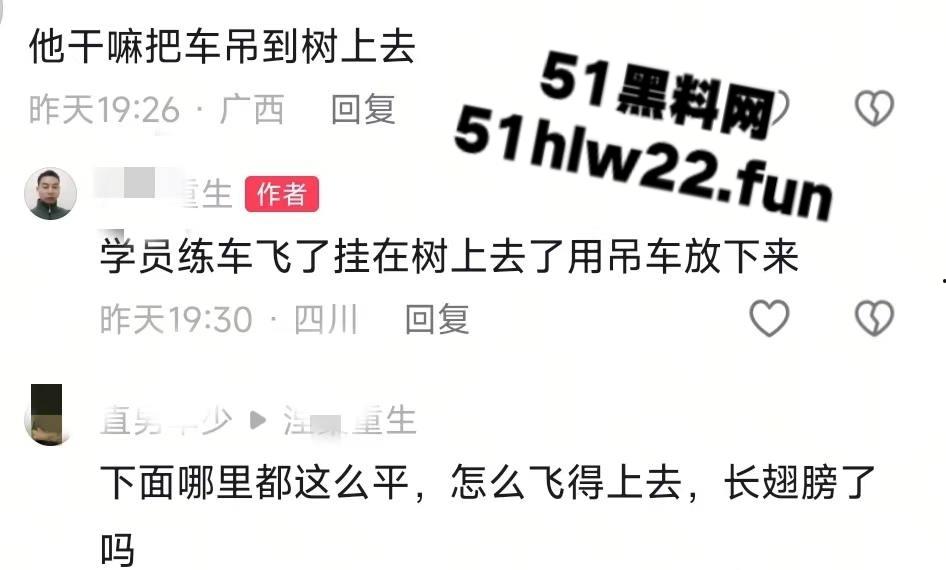 小刀拉屁股开了眼了,宜宾长宁驾校一教练教女学员开车一脚开飞直接上树,这车技也是没谁了!-4