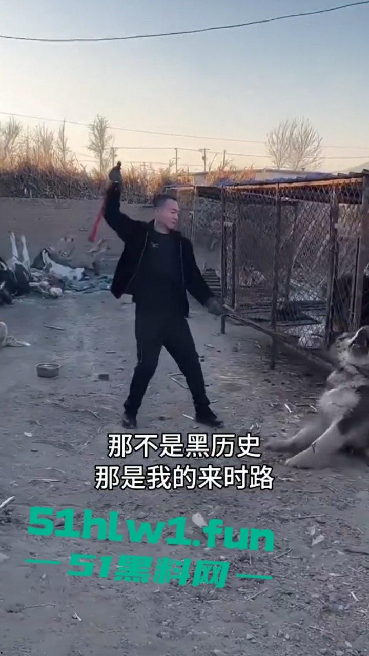 网红狗艾特疑遭训狗师【潘宏】虐待致死,女明星陈乔恩蹭热点带节奏被网友骂上热搜。-9