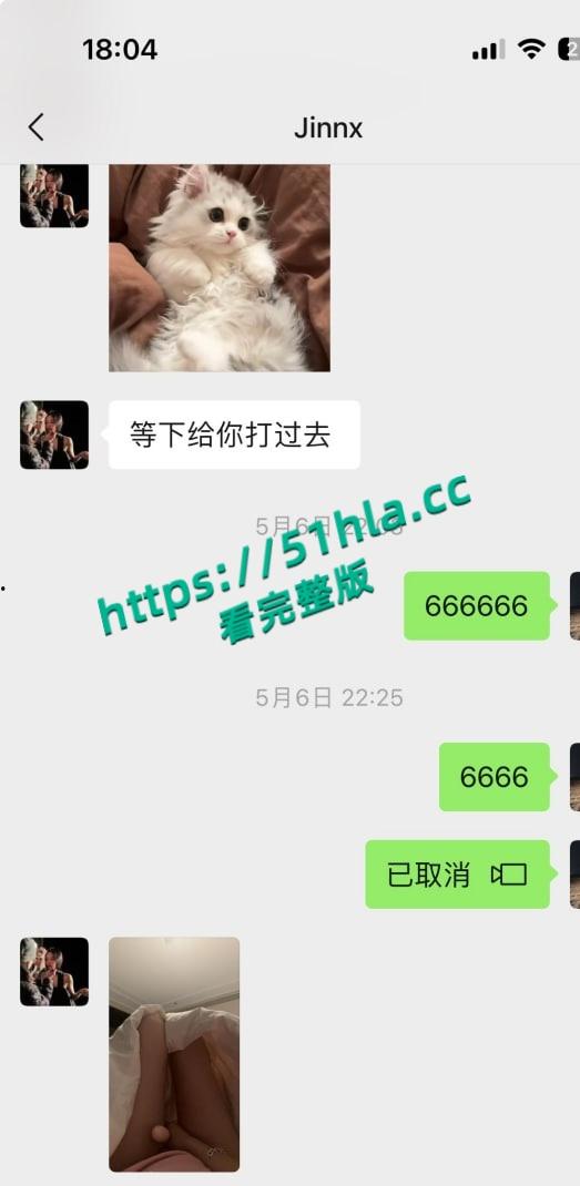 独家爆料，滨州学院小母狗【王佳颖】网上聊骚高铁厕所自慰，聊天记录流出火爆出圈！-6