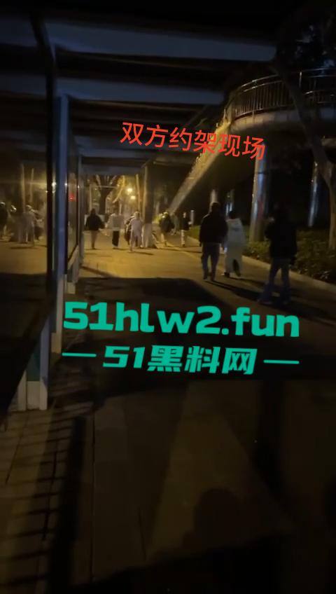 网传两群精神小伙天桥下约架，谁跳砍谁蒙面刀客低调上场，人狠话不多提起就是一刀儿。-8