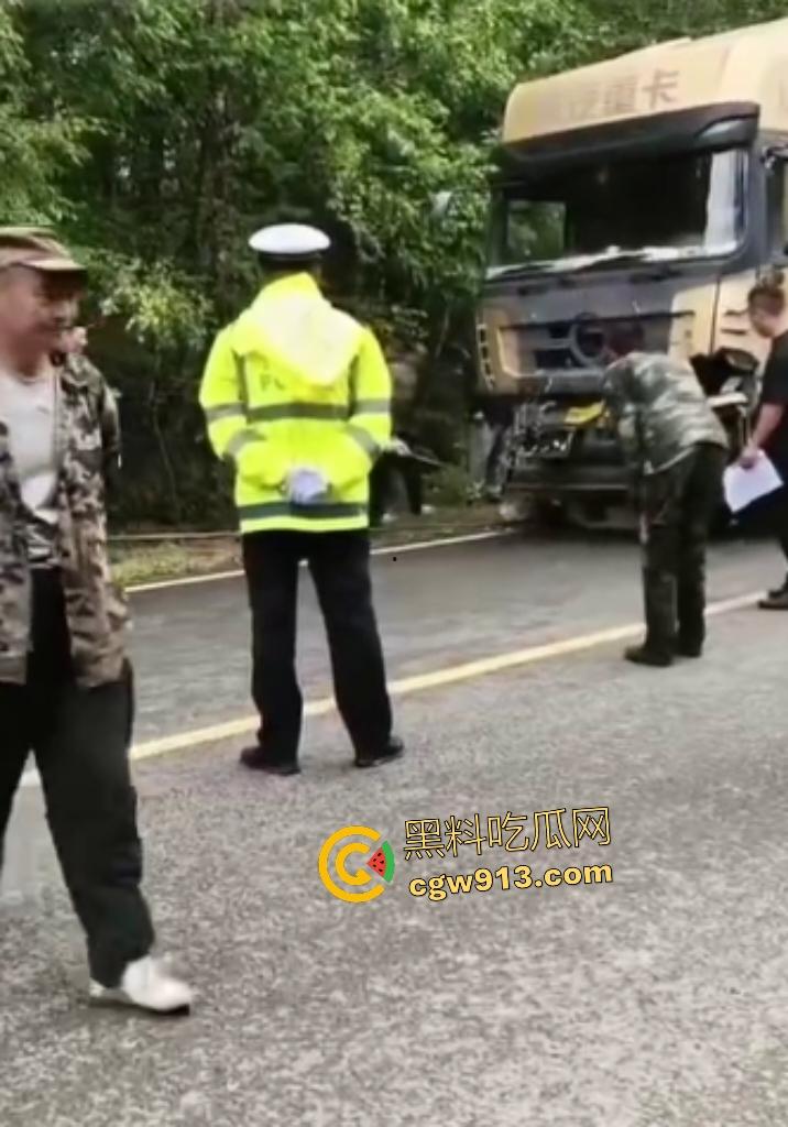 黑龙江货车狂飙撞扁16头活牛,尸体拉长成肉泥,丢草丛无人收,这下司机要赔得血本无归!-4