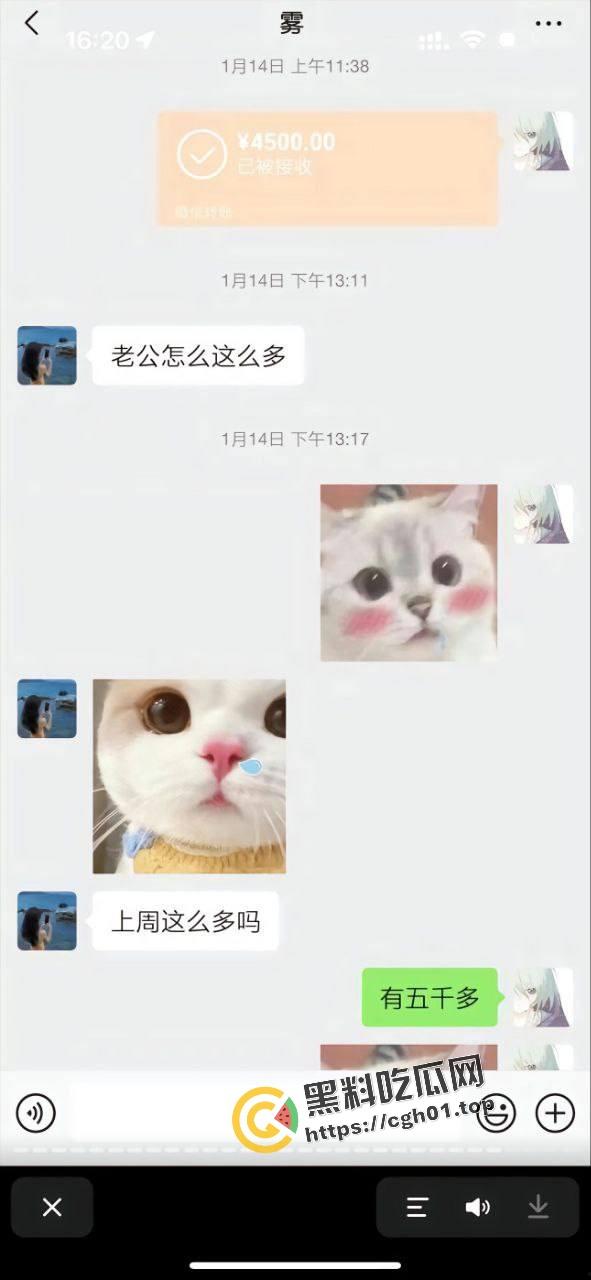 正义开盒【谭竹】全家!纯爱战神【肥猫】再爆更多聊天记录 地址有了 有没有瓜友线下真实-8