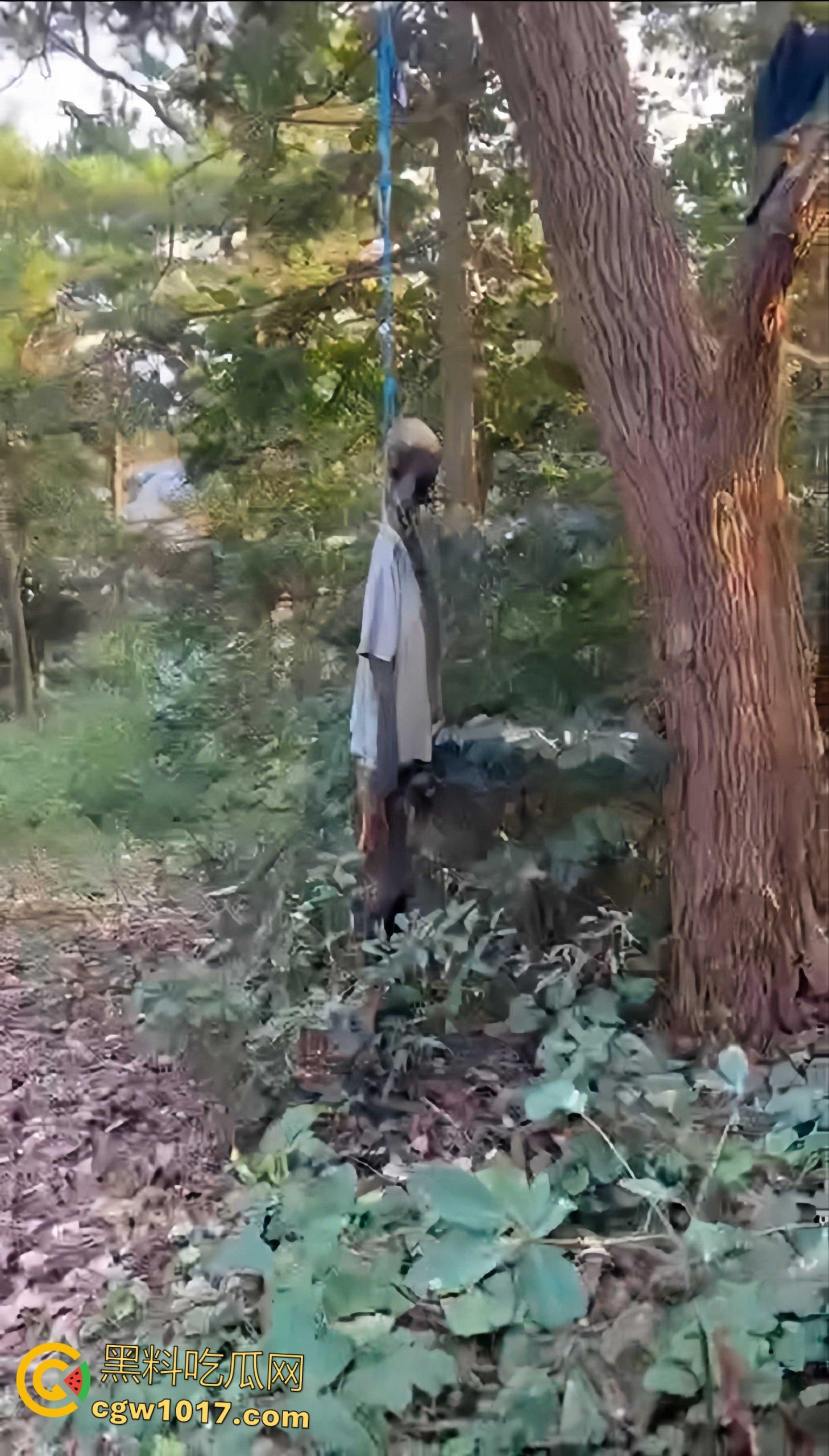 骑行摩托车的摩友意外发现,四明山深处惊现一具吊干尸,尸体已高度干瘪仅剩骨架,疑似死亡数月之久!-6