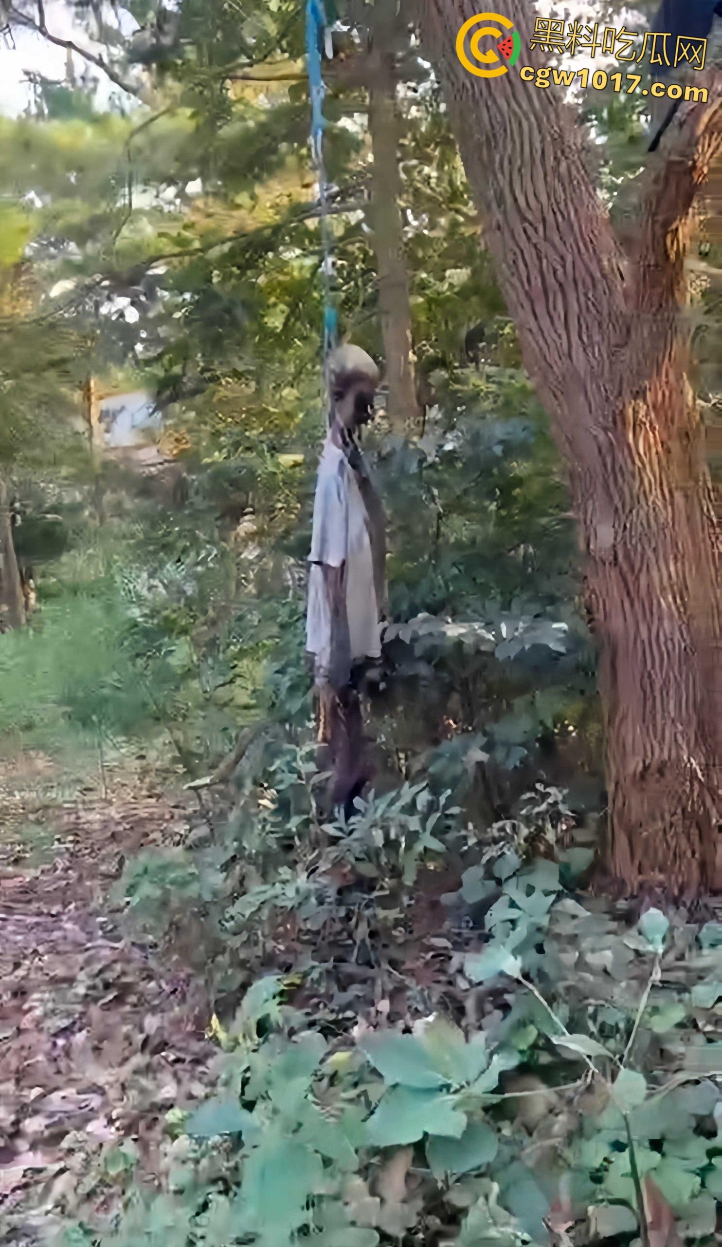 骑行摩托车的摩友意外发现,四明山深处惊现一具吊干尸,尸体已高度干瘪仅剩骨架,疑似死亡数月之久!-7