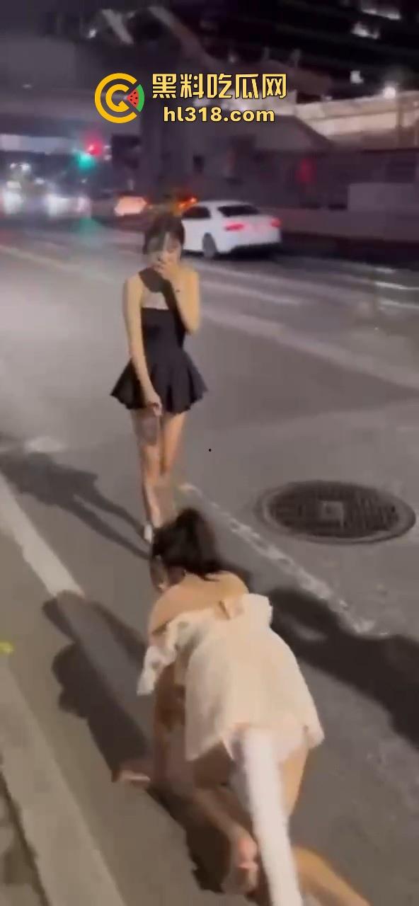 极品好闺蜜深夜路边户外露出调教，白嫩小母狗牵引沿路爬行，真听话是个好狗狗！-4
