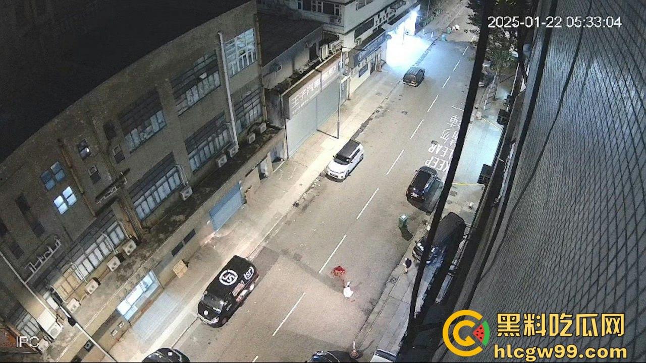 现实黑社会香港选坐馆前的争斗，【胜和】骨干被【新义安】众刀手驾车包抄，乱刀追砍搏杀至死-6