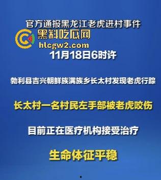 黑龙江勃利县长太村惊现野生东北虎入村 咬伤65岁大爷 大爷吃瓜看虎差点被虎吃 大爷还是大爷！-1