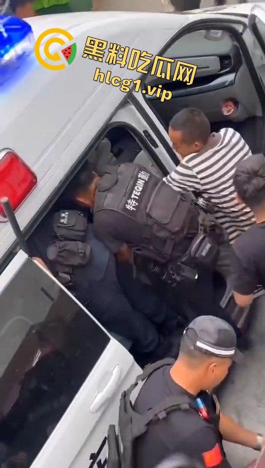 甘孜白玉县城惊现贵宾！金钱豹进城，周围居民直接呆住！-5