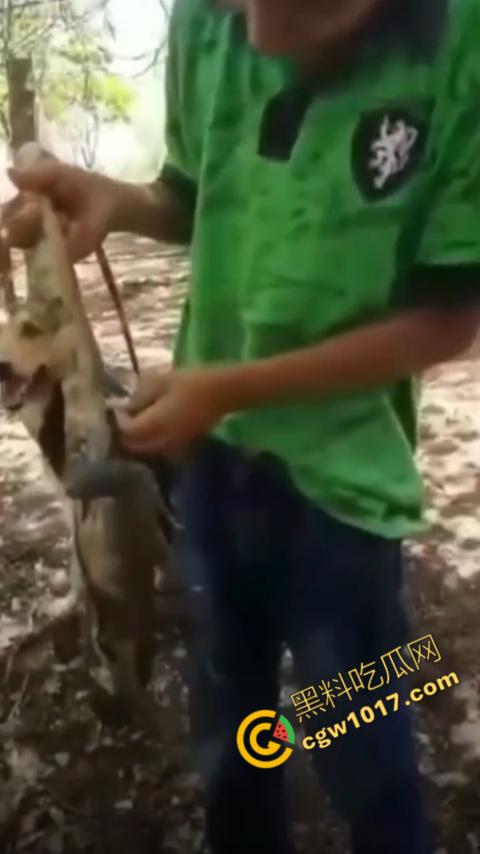 印度阿三享受变态玩乐:鸡巴爆操蜥蜴嫩穴,直到精液喷涌,炫耀异样快感,震撼画面引无数网民围观-11