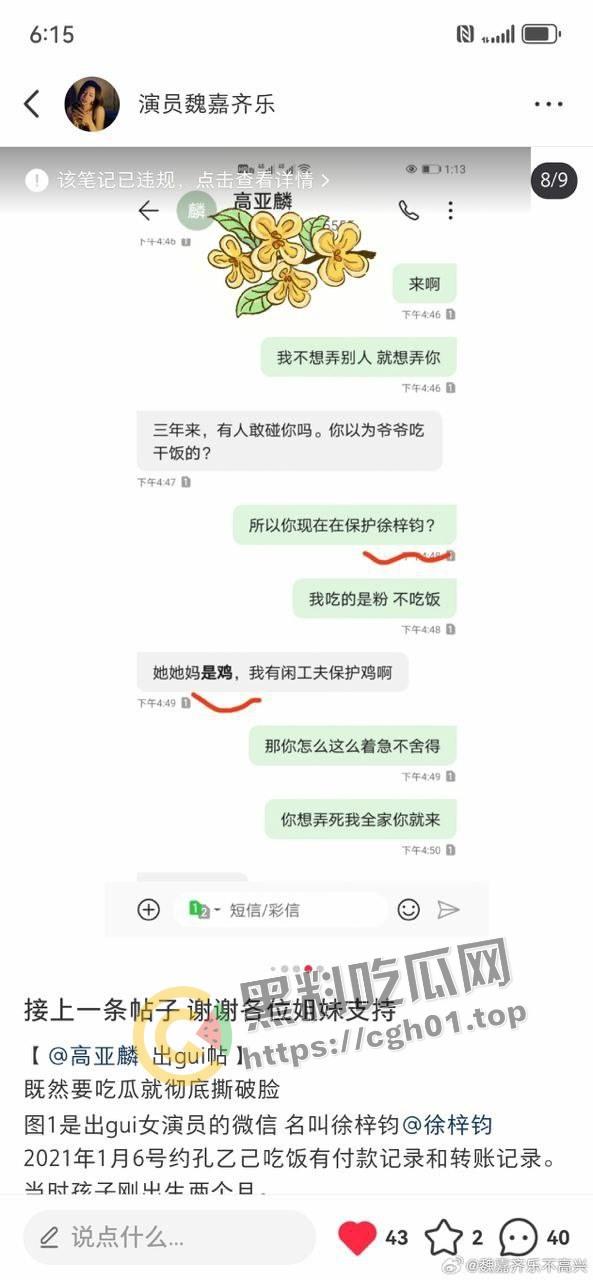 家有儿女【夏东海】出轨！扮演者【高亚麟】被妻子实锤出轨家暴  未删减实锤证据流出-9