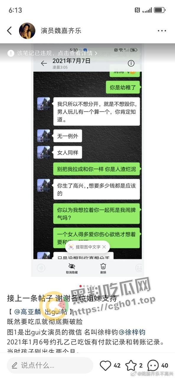 家有儿女【夏东海】出轨！扮演者【高亚麟】被妻子实锤出轨家暴  未删减实锤证据流出-10