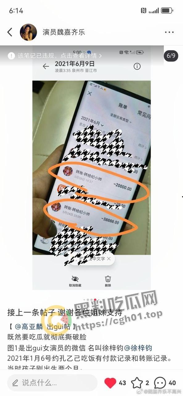 家有儿女【夏东海】出轨！扮演者【高亚麟】被妻子实锤出轨家暴  未删减实锤证据流出-12