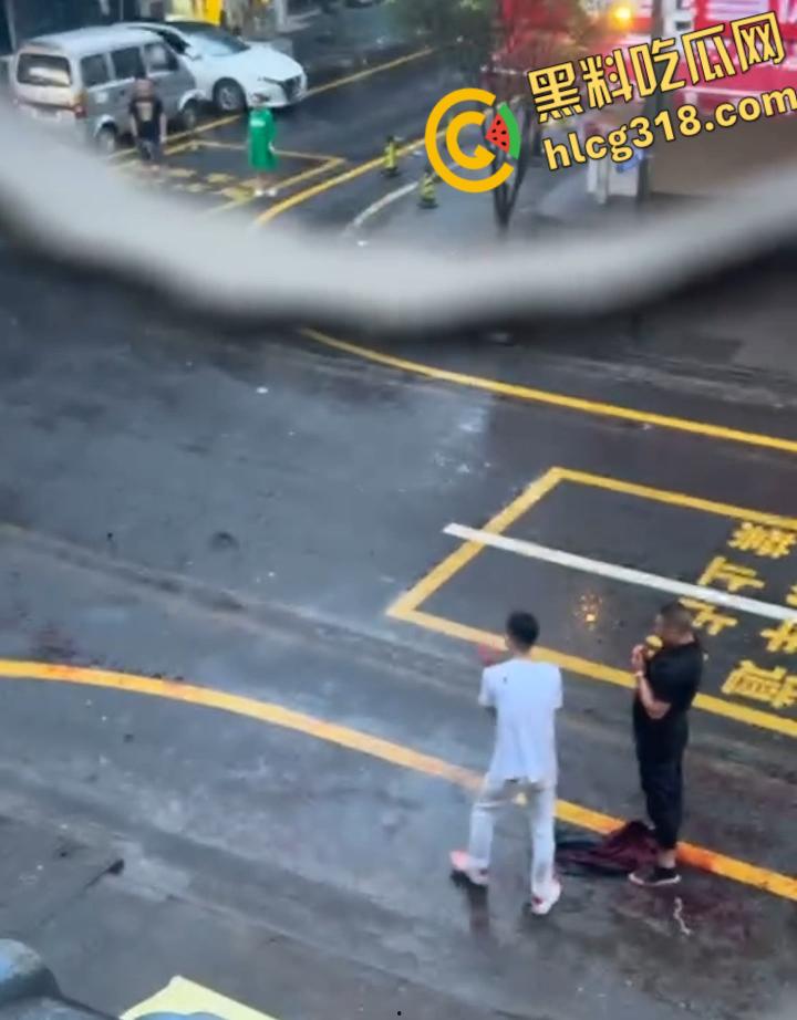小伙街边无差别砍人，就算劝架也惨被砍，街头刀光血飙骨肉翻开，地上血迹一片看着都感觉痛 !-7