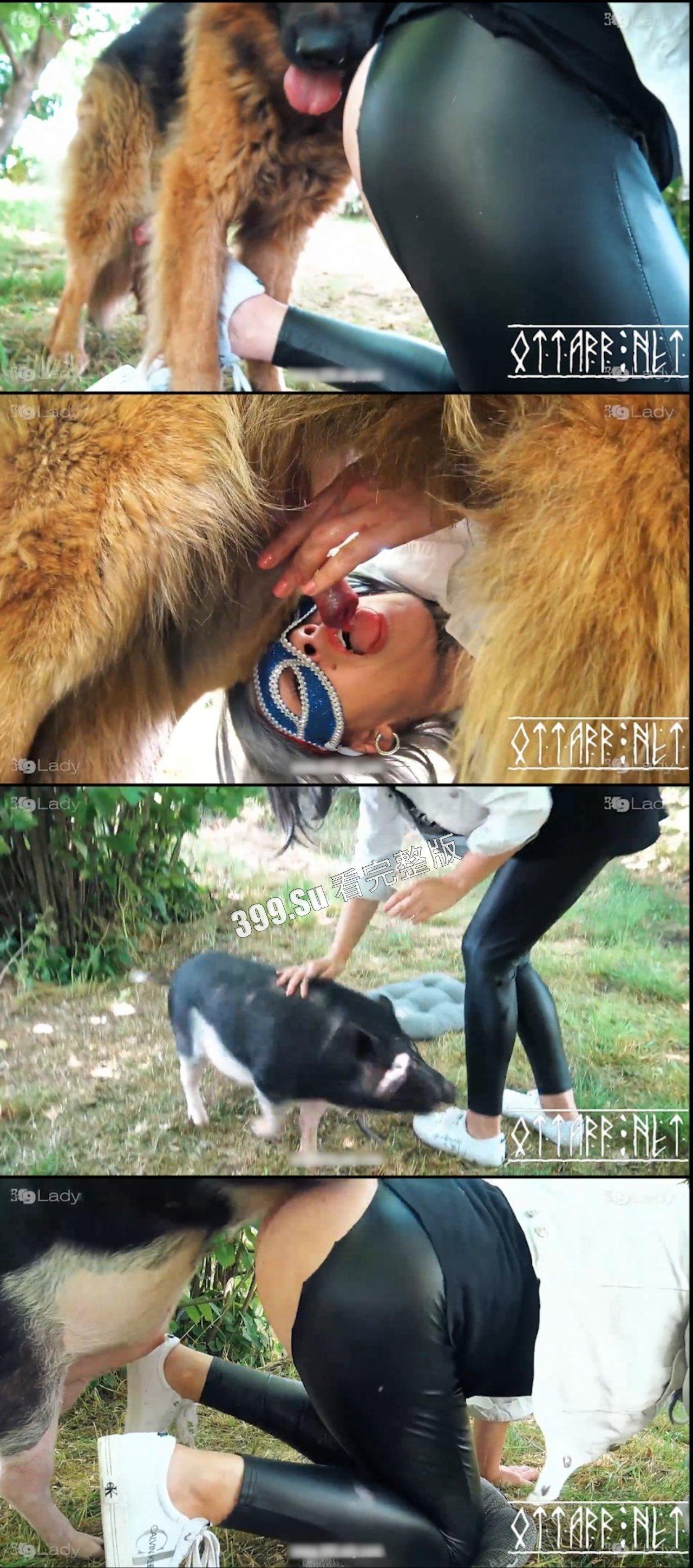 人兽篇  不理解，但是大为震撼！有请本场男演员：好多狗，马，驴，猪！（介意的瓜友 勿点! ）-6