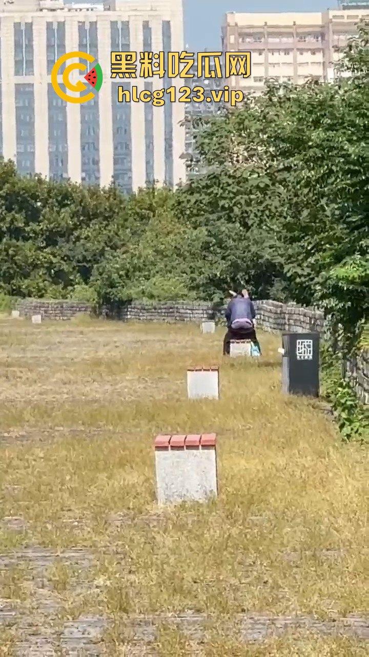 南京城墙惊现激情戏！大爷大妈公园打野战，瓜友带朋友全程目瞪口呆！-4
