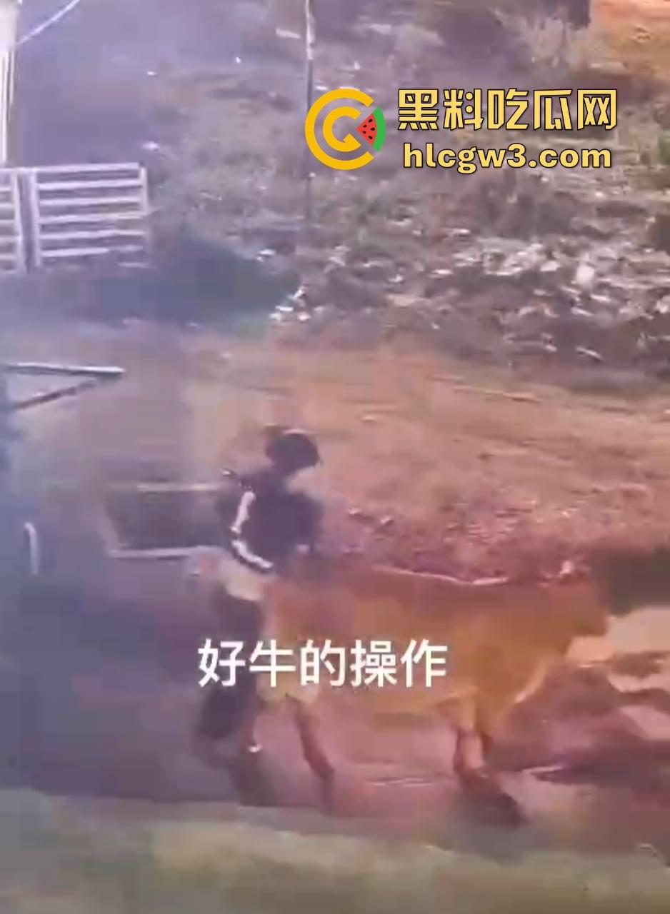 真实操兽：饥渴小哥不吹牛逼操牛逼 拔屌暴插大母牛 省钱免费逼还大 论狠人你是第一人！-6