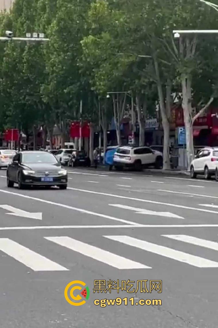 现在的人怨气实在是太重了，河南郑州凶手驾车撞伤女子，将其捅死随后当场自杀身亡，画面血腥胆小慎入！-3