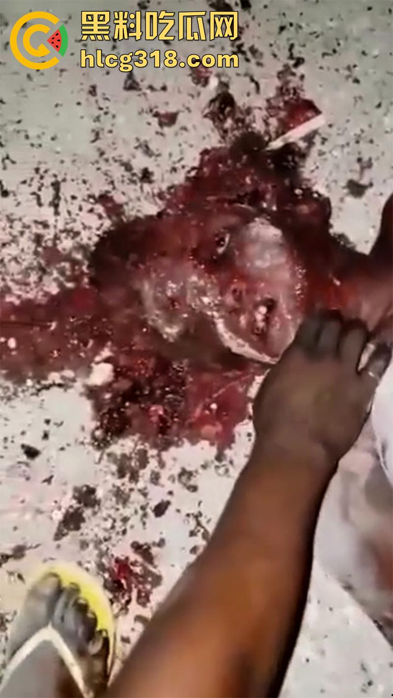 非洲大奶黑妹被砍断双手，棍棒砸扁头杀害后，被一群男子当场分尸割肉，还有人拿棍捅逼，真变态啊！-8