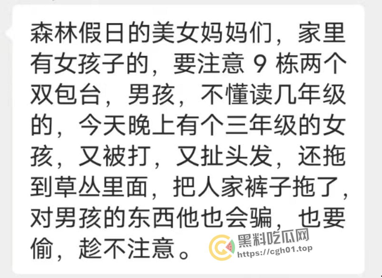 6年纪双胞胎男孩配合他人在小区内哄骗猥亵多名女孩   小畜生被其他家长暴打 抓捕现场曝光-3