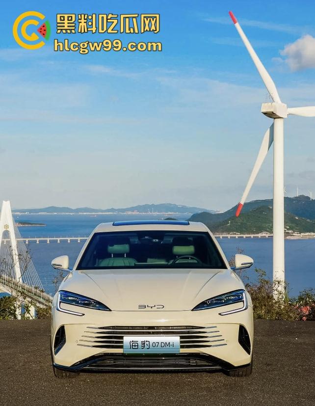 比亚迪海豹直播翻车，主播测试智能驾驶自动泊车，直接撞上车，吓得秒下播！比亚迪公关团队连夜上班？-4