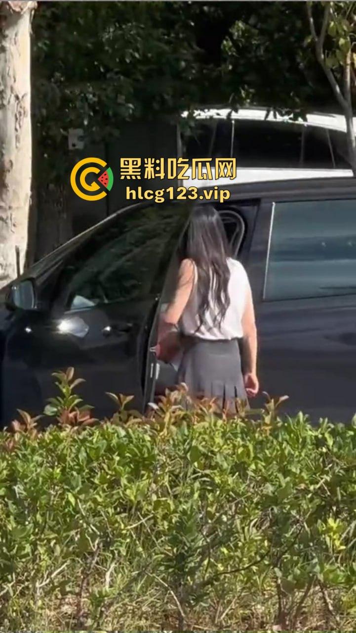 安徽芜湖长江南路惊现大尺度现场！为爱马仕鳄鱼皮，女的当街给口，鸡瘾犯了拼了命！-5