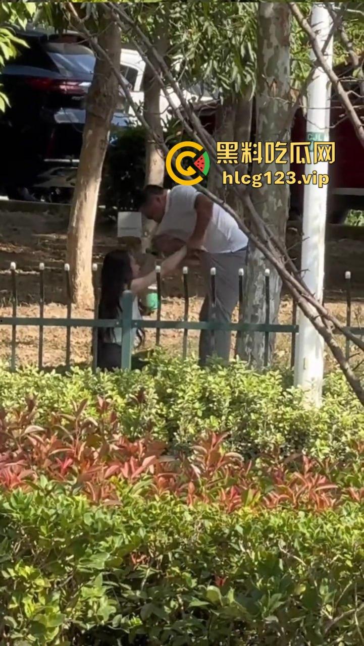 安徽芜湖长江南路惊现大尺度现场！为爱马仕鳄鱼皮，女的当街给口，鸡瘾犯了拼了命！-6