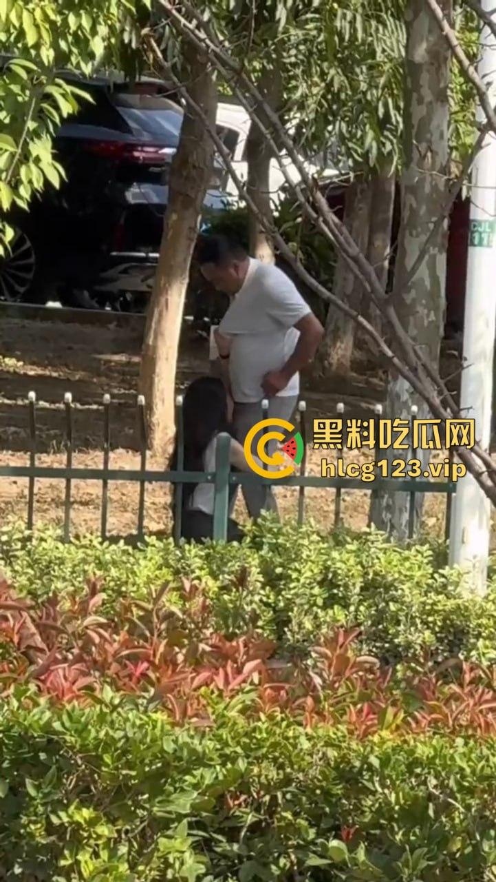 安徽芜湖长江南路惊现大尺度现场！为爱马仕鳄鱼皮，女的当街给口，鸡瘾犯了拼了命！-7