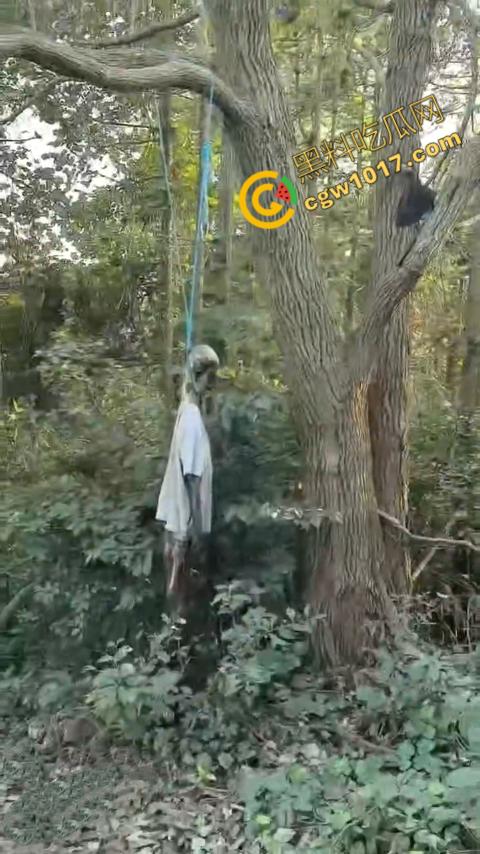 四明山中骑行，摩友巧遇恐怖干尸，惊恐报警，警调挖机移尸，骇人现场，让人看的心跳加速！-6