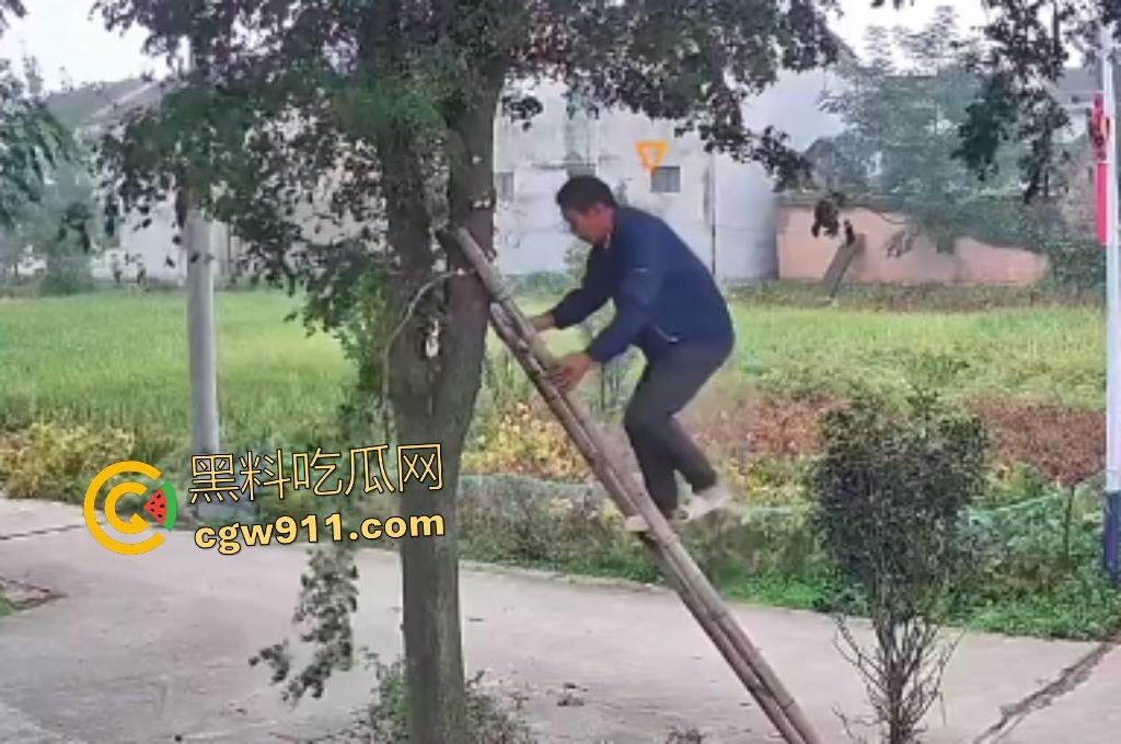 大爷作死上树砍枝惨摔内伤！年过半百爬木梯伐树，树枝滑落砸翻落地，这才是真伐木累，痛到怀疑人生！-2