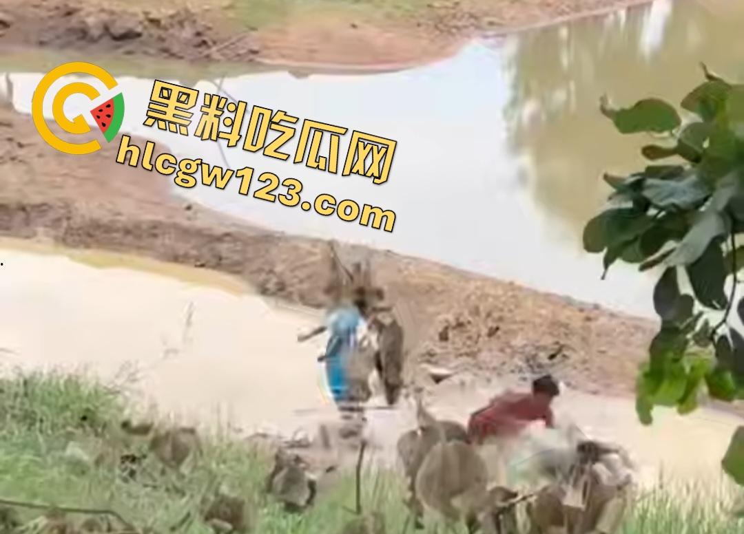 印度小哥翘屁股挑衅精神小伙被操翻！群殴打得满地找牙，警察来了也在一旁看戏！-4