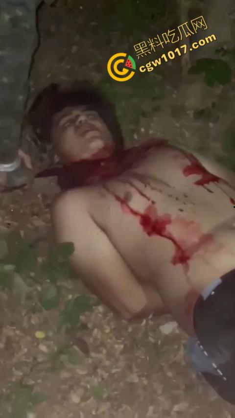 惊悚巴西雨林：鲜血四溅，砍喉视频引发恐慌，暴力画面惊骇世人，血腥场面令人喘不过气！-7