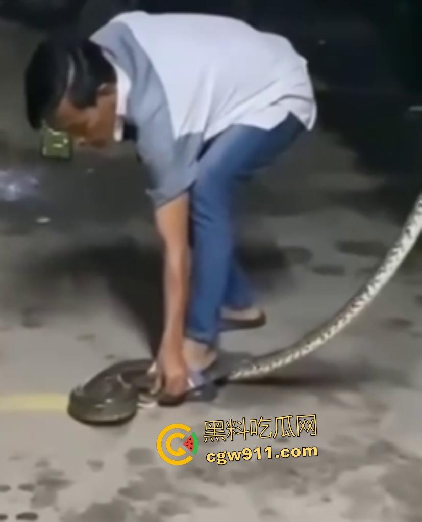 印度作死狂人闲蛋疼踩蟒蛇遭反杀！巨蟒一口咬住小腿死缠不放，发觉人太大吃不下灰溜溜逃窜！-1