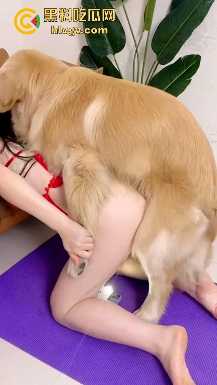 抖音小姐姐【香香公主】给科普兽交注意事项 每天都在和金毛上演人兽配！-16