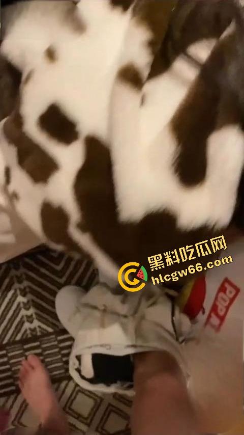 青岛高冷舞蹈老师『刘倪』酒后车震不过瘾,自己撕开黑丝小穴坐上来骑,操完还嘴巴张着要你射脸上!-13