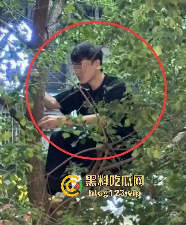 河南夏邑原配抓小三【双双】,丈母娘亲自上阵调解,女婿出轨场面一片混乱,小三真容曝光后抖音销号!-16