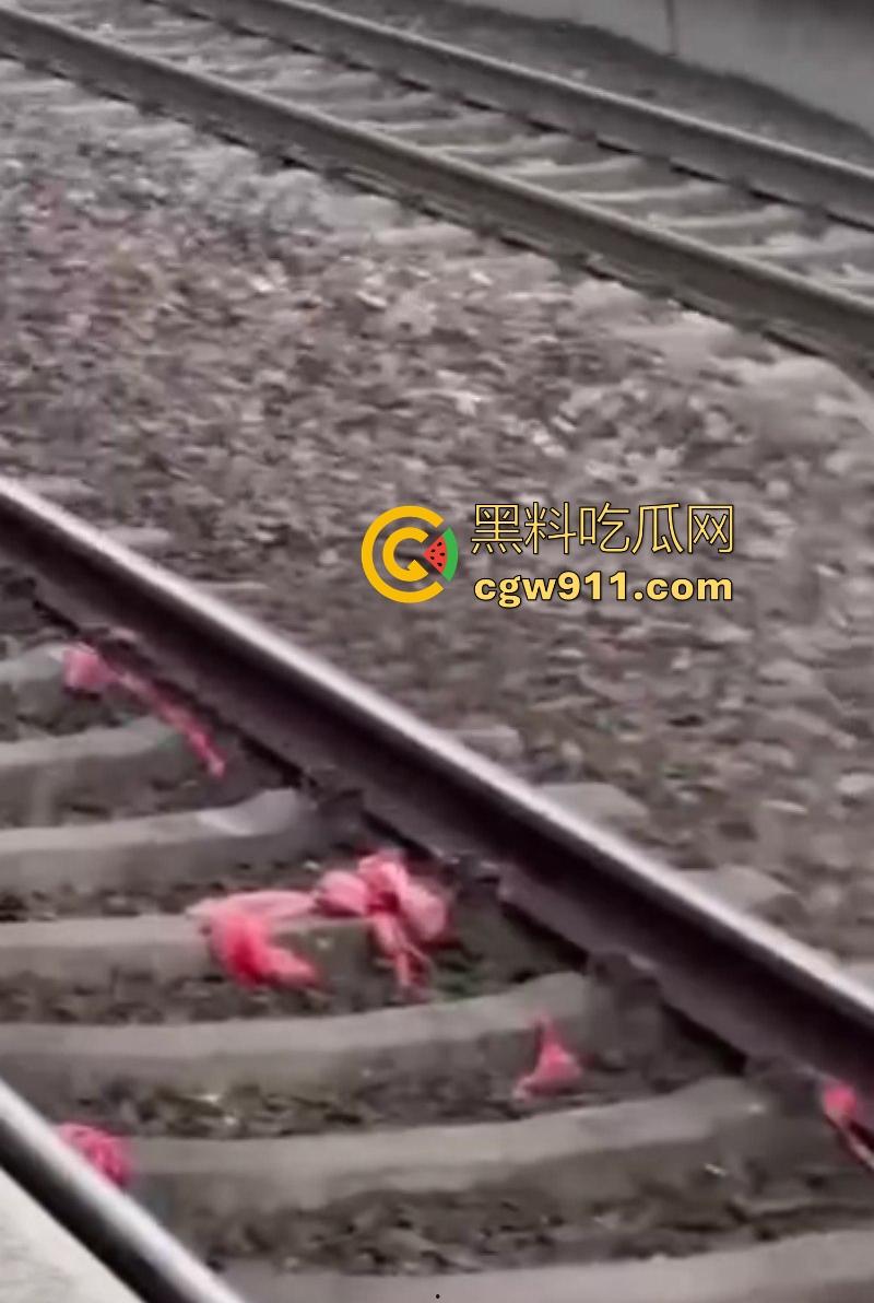 海外男子站台裸奔自杀，下定决心跳轨被火车碾压，身体碎片散落满地，画面血腥胆小勿入！-5