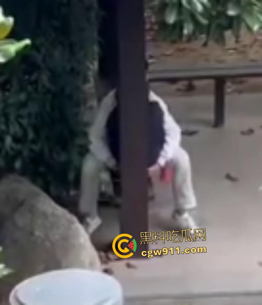 徐州技师学院情侣凉亭，网红小树林户外野战，高颜值女技师骑乘男友隔裤狂磨，精液淫水搞湿裤裆！-7